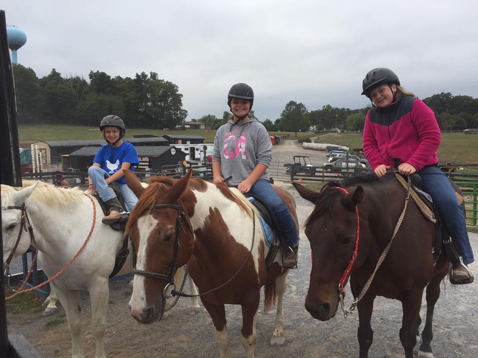 High Rince Farm 14457415_10209701794894272_1047107648762945203_n – High Ridge Farm