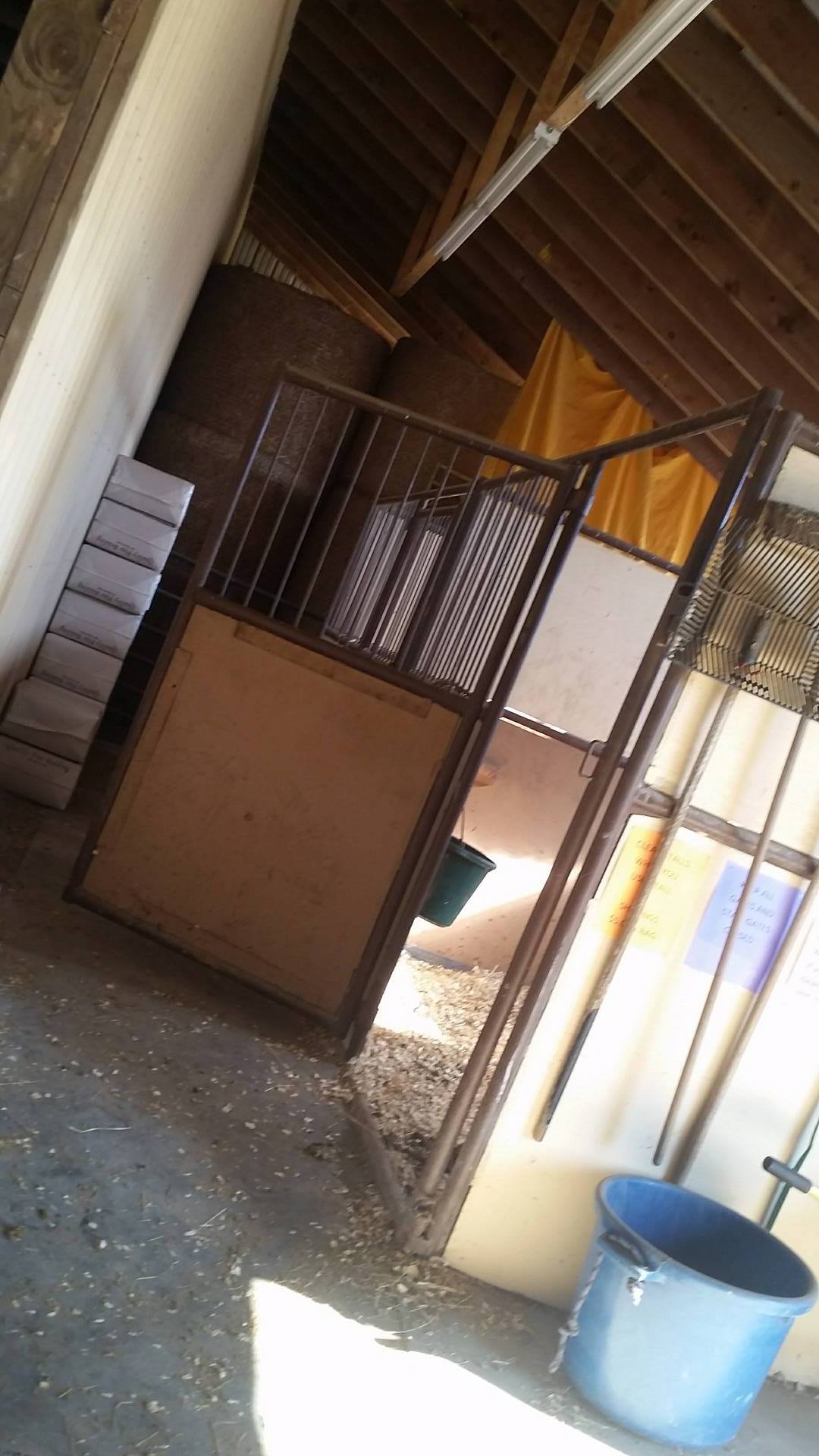 High Rince Farm Boarding – High Ridge Farm