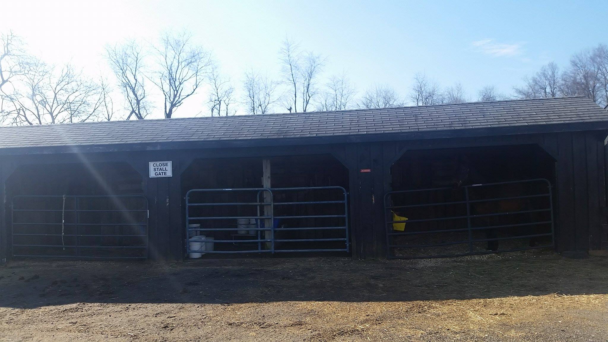 High Rince Farm Boarding – High Ridge Farm