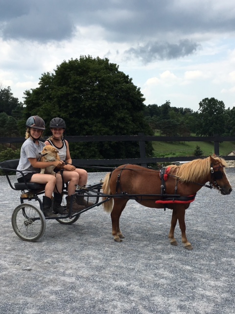 High Rince Farm FullSizeRender (4) – High Ridge Farm