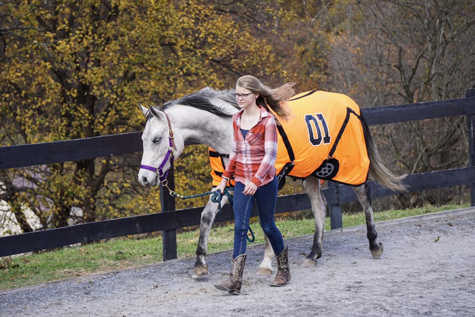 High Rince Farm 45257899_10156577943221826_6293652205757005824_n – High Ridge Farm