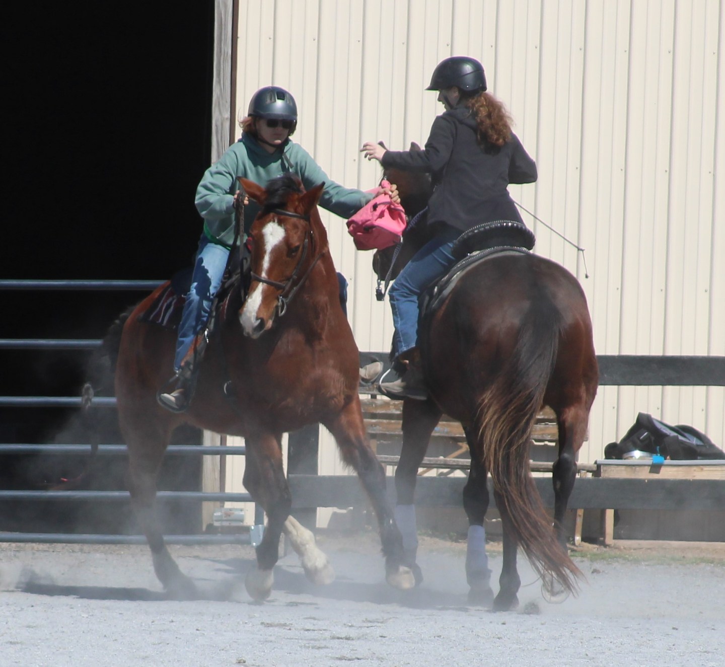 High Rince Farm High Ridge Farm • Fun Shows – High Ridge Farm