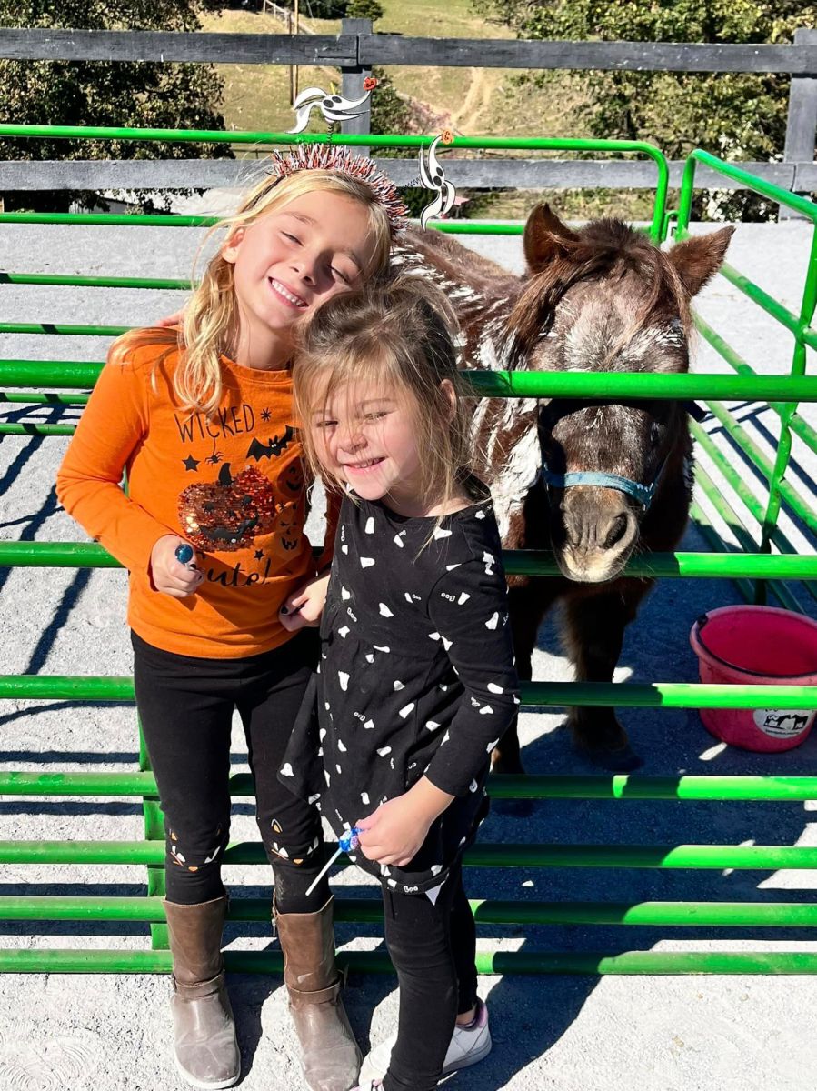 High Rince Farm nsh – High Ridge Farm