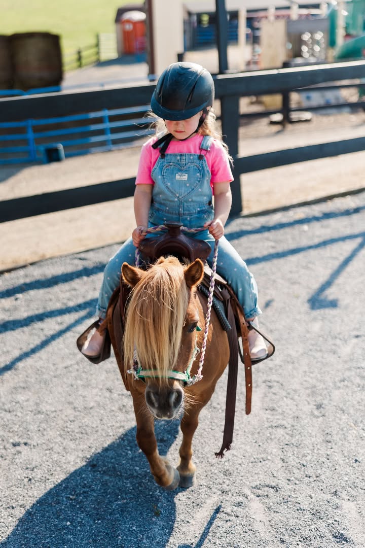 High Rince Farm Lessons – High Ridge Farm