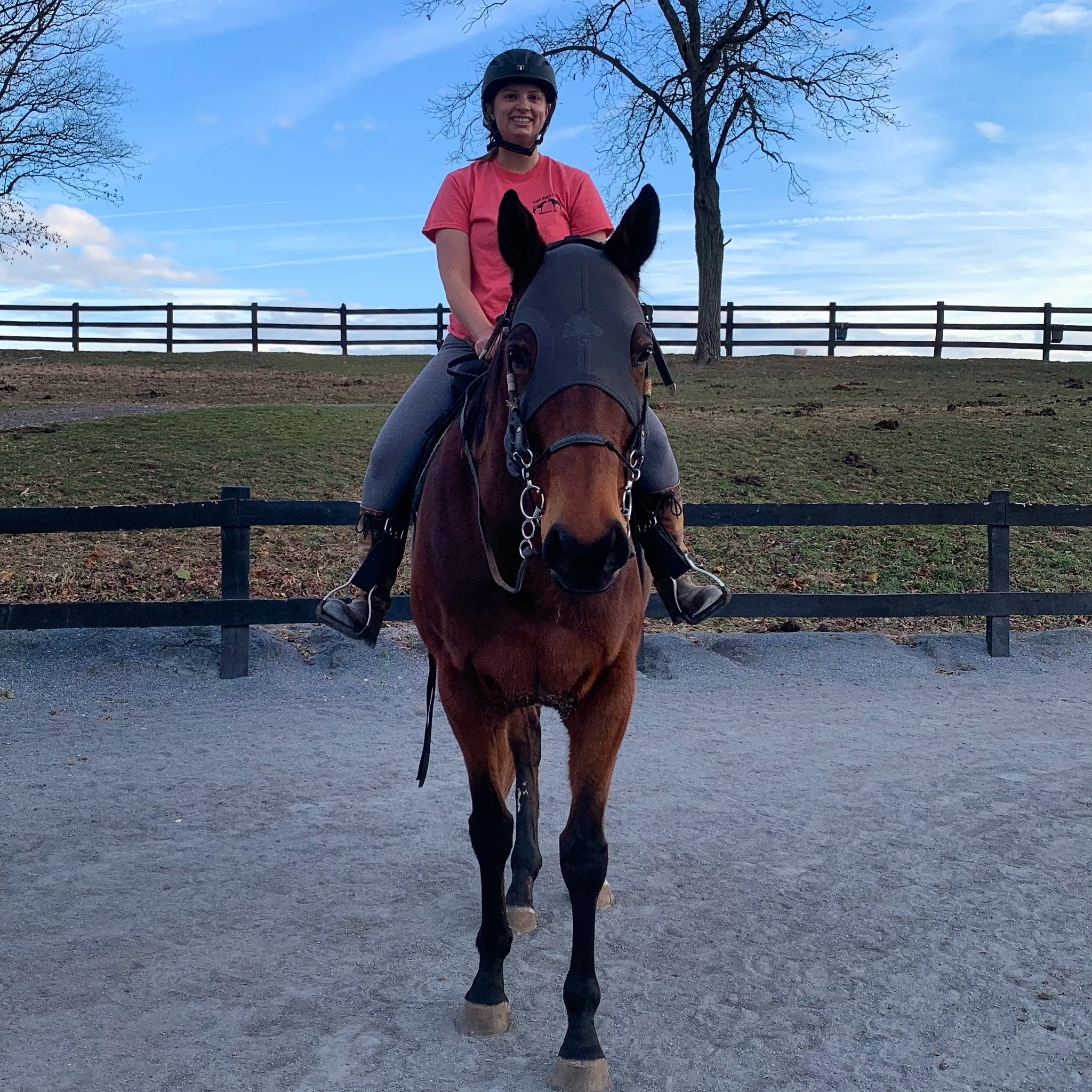 High Rince Farm Lessons – High Ridge Farm